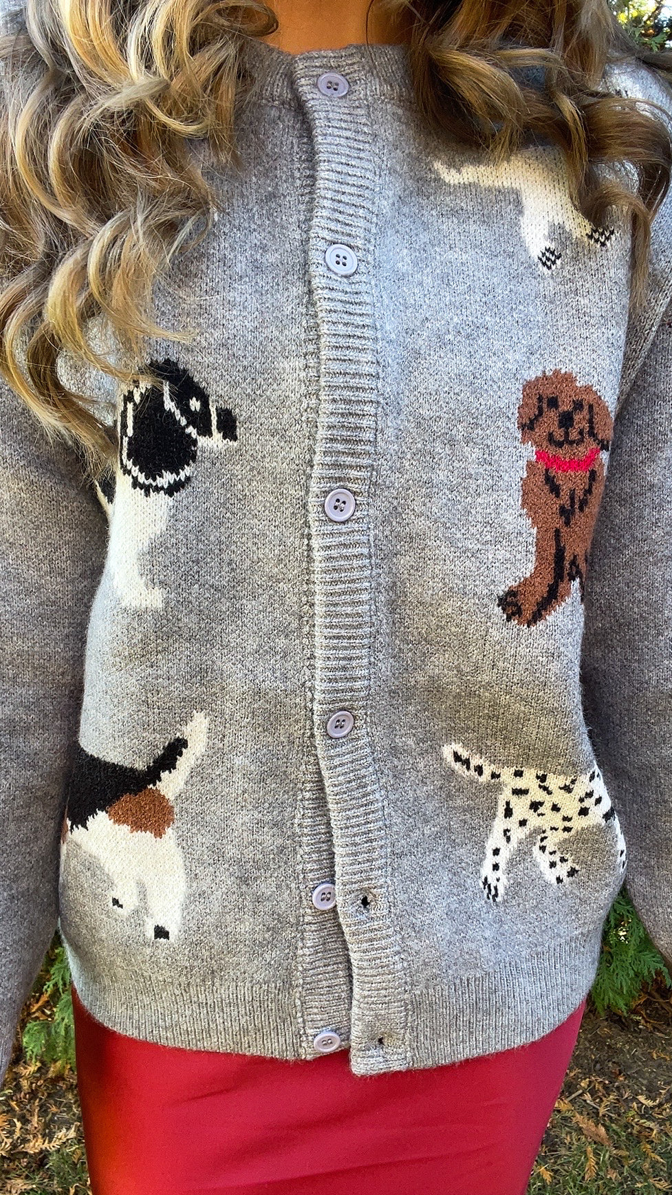 Dog Walker Oversized Cardigan Sweater